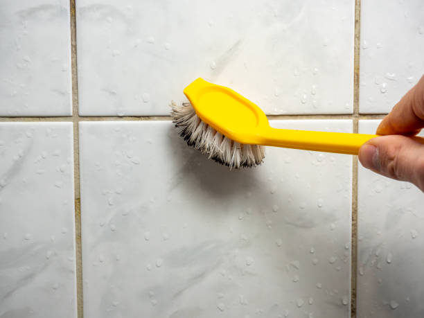 Best Emergency Mold Removal  in Independent Hill, VA
