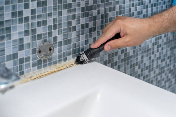 Best Emergency Mold Removal  in Independent Hill, VA
